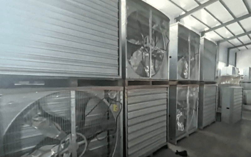 1380 Ventilatore a pressione negativa per bestiame in lamiera zincata
